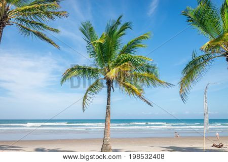 Impressive Paradise Beach At The Itacare Bahia Brazil