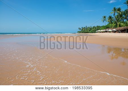 Water Forms And Landscape By The Itacare Beach
