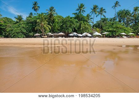 Natural Pools In Peninsula De Marau Bahia