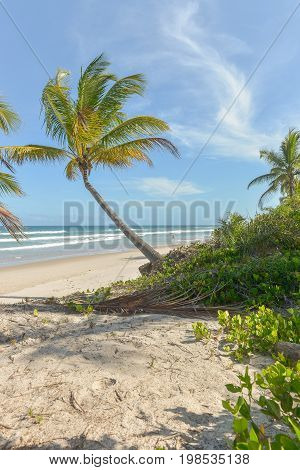 Amazing View Of The Beaches Near Itacare