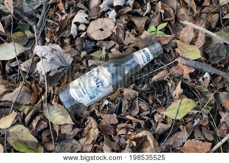 SHOREWOOD, ILLINOIS / UNITED STATES - DECEMBER 6, 2015: A discarded lemonade bottle lies among fallen dried leaves on the forest floor in the Hammel Woods Forest Preserve.