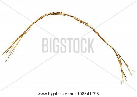 Raffle Rope Closeup Raffia Rope Image & Photo (Free Trial) | Bigstock