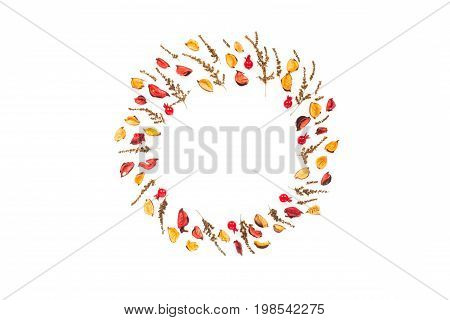 Wreath made of autumn flowers and berry on white background. Top view flat lay