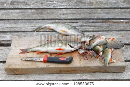 Perch fish fish offal and a knife laying on a bridge