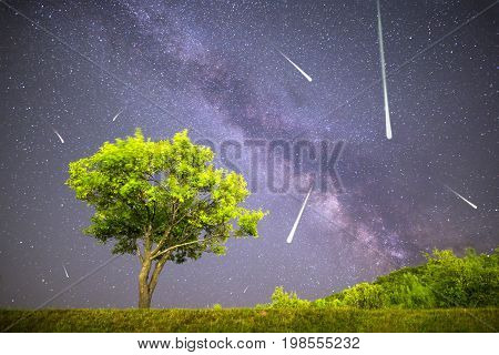 Green Tree Milky Way Night Sky Falling Stars