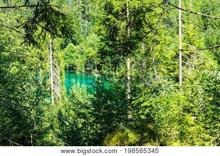 crestasee seen through forest with turquoise water in switzerland