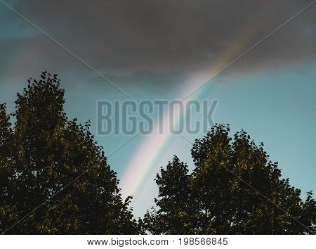 Rainbow partly viewed above crowns of trees on dull rainy summer day with dark storm-cloud in the sky