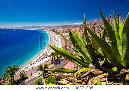 Beach Promenade In Old City Center Of Nice, French Riviera, France, Europe.