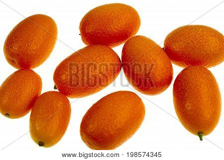 The Nagami Cumquat Fortunella margarita looks like a tiny orange with an oval shape sweet oily skin quite sour inside and orange colour.
