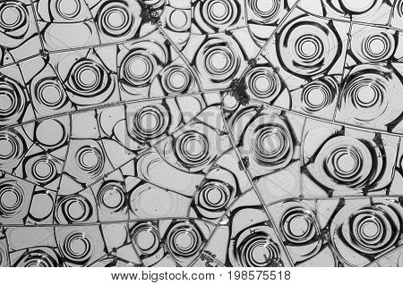 microscopic detail of some dried egg white in grey back