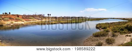 Peaceful And Tranquil Marsh Of Bolsa Chica Wetlands