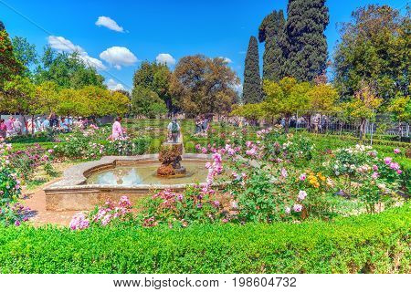 Rome, Italy - May 08, 2017: View On Park In The Hill Of Palatine-  Roman Forum. Rome.  Italy.