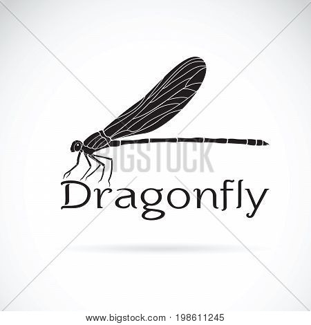 Vector of Vestalis gracilis dragonfly(Amphipterygidae) on white background. Insect Animal.