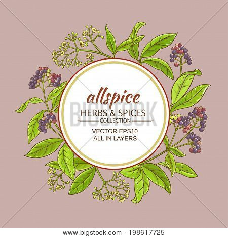 allspice branches vector frame on color background