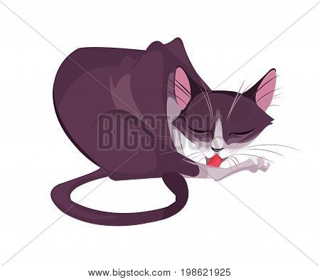 Digital vector funny comic cartoon big pink cat with tail licking its paw leg, hand drawn illustration, abstract realistic flat style