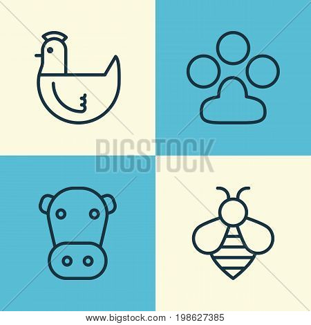 Nature Icons Set. Collection Of Kine, Claw Print, Bumblebee And Other Elements