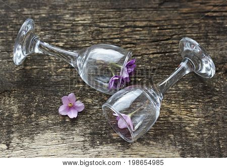 The flowers are violets. Floral background.The flower in the glass. A few small violet flowers in a transparent glass glasses. Glasses on the wooden surface.