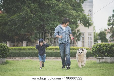 Asian Father And Son Walking With A Siberian Husky Don In The Park Under The Rain