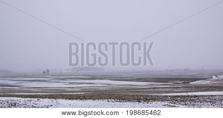 Wide snow blown farmland landscape with two small bare trees in the distance in Akwesasne, New York on an overcast blustery day in February.