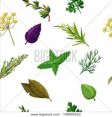 Seamless texture with herbs and spices. Vector pattern.