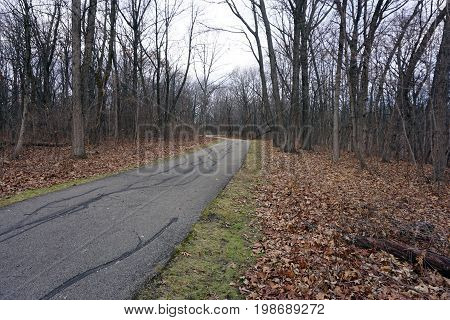 Hikers may walk on a paved trail in the Hammel Woods Forest Preserve in Shorewood, Illinois, during December.