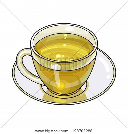 Green tea drink in transparent glass mug and saucer, sketch vector illustration isolated on white background. Hand drawn green tea drink in glass cup and saucer