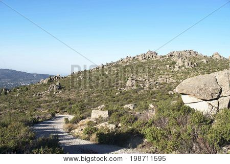 Mount of the Almorchones. Forest road towards Matalpino. Madrid's community. Spain. Europe.