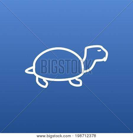 Isolated Tortoise Outline Symbol On Clean Background