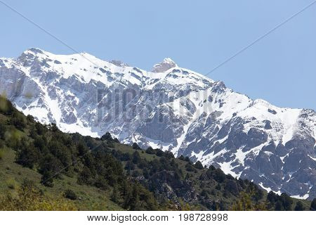 the snowy peaks of the Tien Shan
