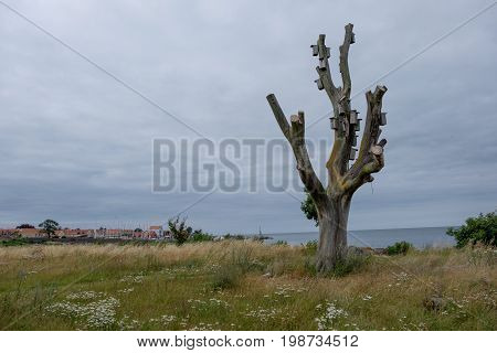 svaneke at the Island of Bornholm in denmark