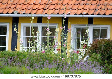 summer on the danish Island of bornholm