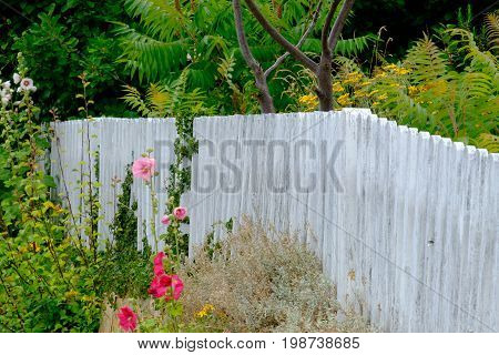 summer on the danish Island of bornholm