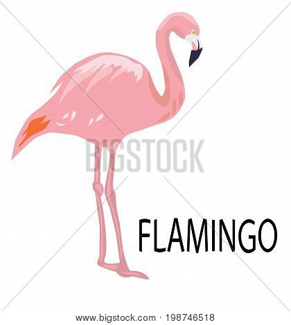vector illustration of a pink flamingo silhouette