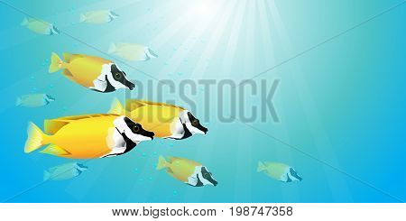 Vector illustration of beautiful yellow fish herd, yellow fox face or rabbitfish, in blue sea with bubbles and light.