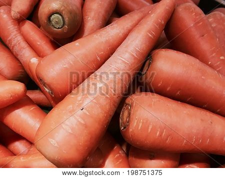 Carrot, fresh vegetable for your good health