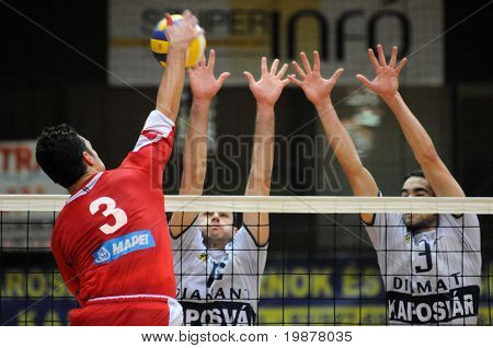 KAPOSVAR ฮังการี - 25 พฤศจิกายน: Penzes (L), Skoric (C) และ Nagy (R) ในการดำเนินการที่ประเทศฮังการี
