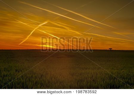 Sunrise over the field - Wiltshire UK