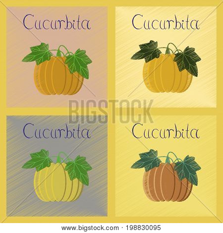 assembly flat shading style Illustrations of plant Cucurbita
