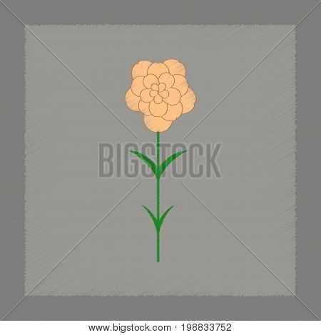 flat shading style Illustrations of plant Dianthus