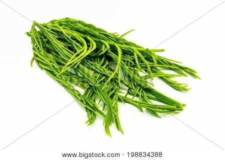 Cha Om Leaves green aromatic vegetable from Thailand