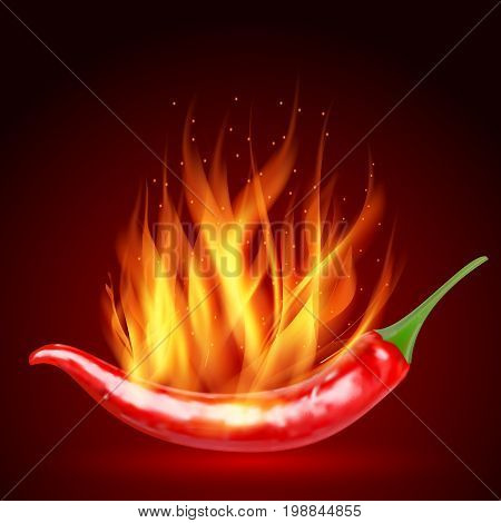 Red hot natural chili pepper pod realistic image with shadow for culinary products and recipes vector illustration. Realistic Red hot natural chili pepper. flaming red chili pepper on a red background