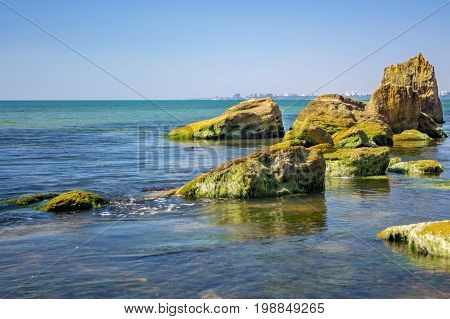 Coastal stone with green algae. Stone covered with green algae