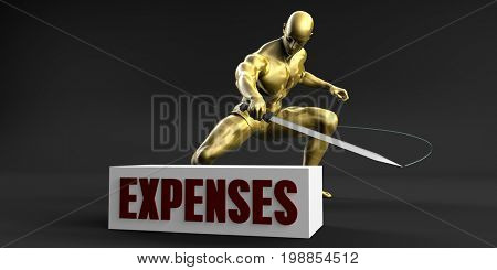 Reduce Expenses and Minimize Business Concept 3D Illustration Render