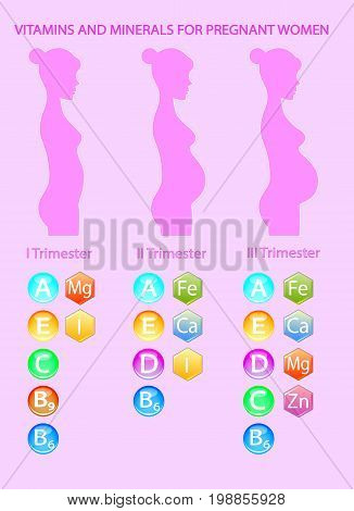 vector illustration.vitamins and minerals for pregnant women