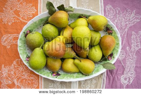 Bright ripe pears in a bowl on a summer background