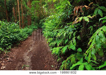 Sete Cidades landscape, Sao Miguel Island, Azores, Europe