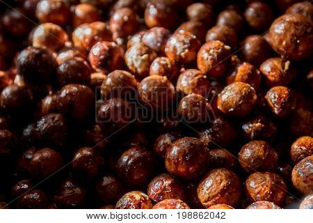 macadamia nuts, nuts orchid, macadamian nuts farm, harvest time