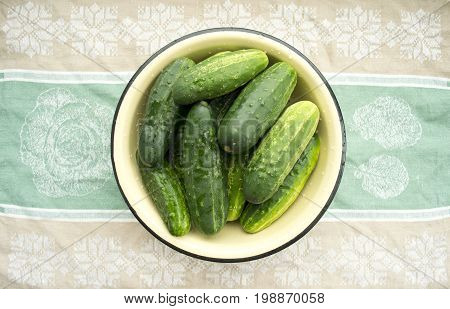 Green cucumbers in a plate on a thematic background