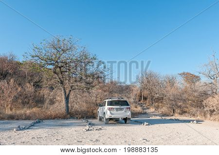 ETOSHA NATIONAL PARK NAMIBIA - JUNE 22 2017: The parking area and footpath leading to the Moringa Waterhole at the Halali Rest Camp in the Etosha National Park Namibia