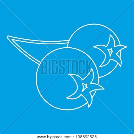 Chokeberry icon blue outline style isolated vector illustration. Thin line sign